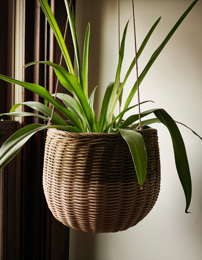 Hanging Woven Basket Planter