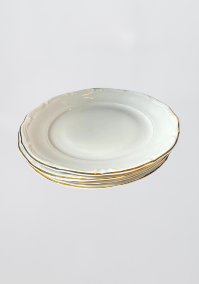 Classic Porcelain Dinner Plate Set (Set of 4)