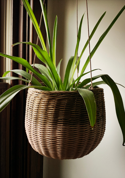 Hanging Woven Basket Planter