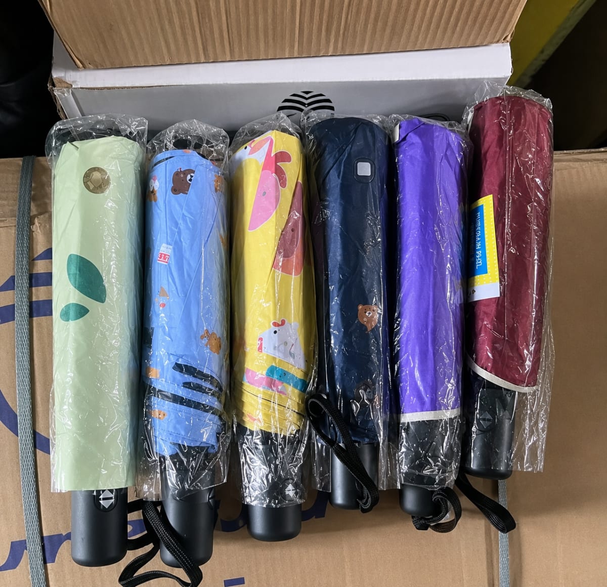 Foldable Umbrella
