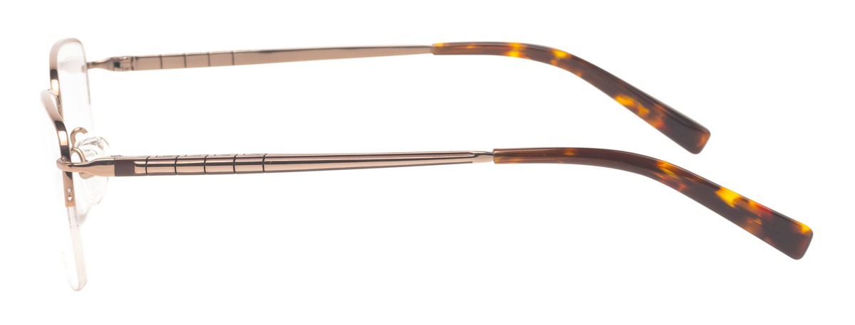 Ferucci 756 — view 3