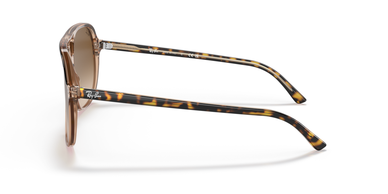 Ray-Ban 0RB2198 BILL — view 2