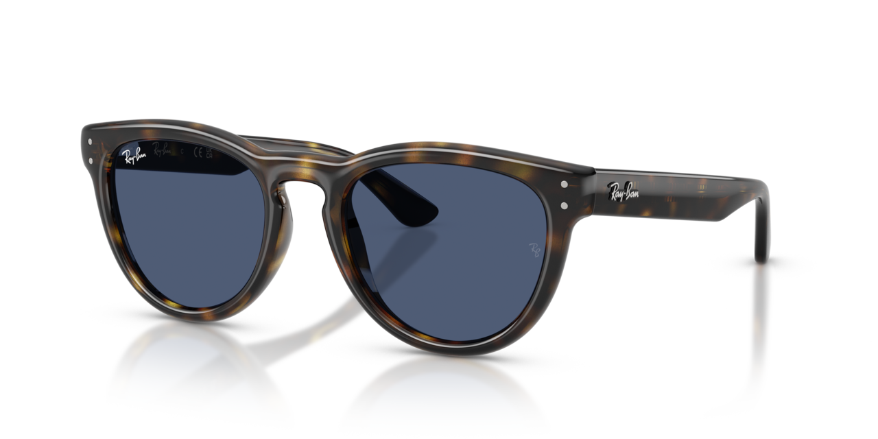 Ray-Ban 0RB2237