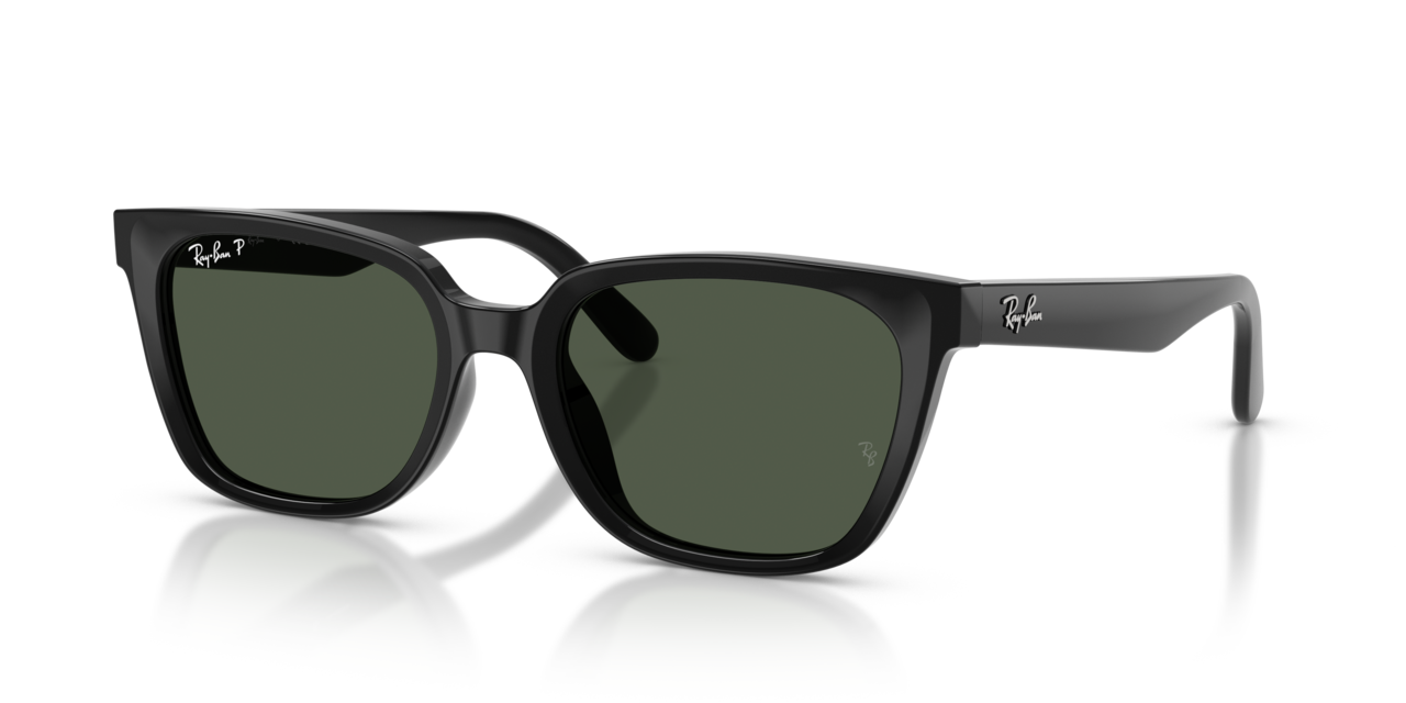 Ray-Ban 0RB2243D