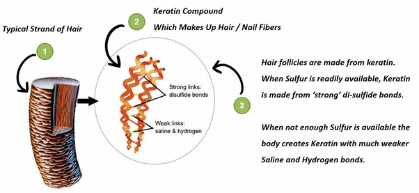 Definition of keratin