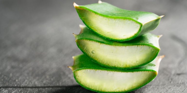 Aloe vera - beneficial ingredient