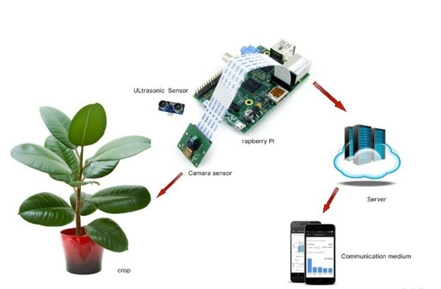 IOT Smart Irrigation