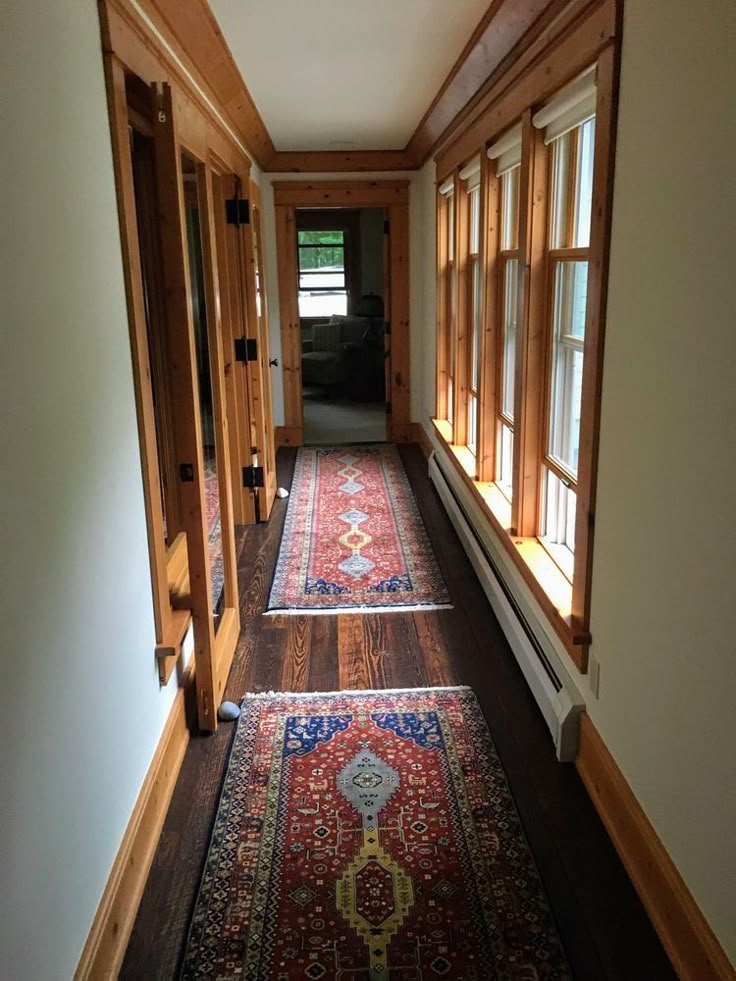 Елена Петрова