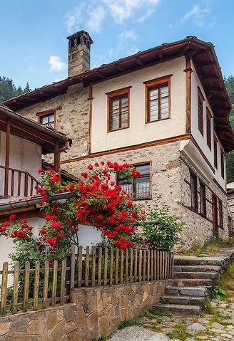 Стоян Димитров