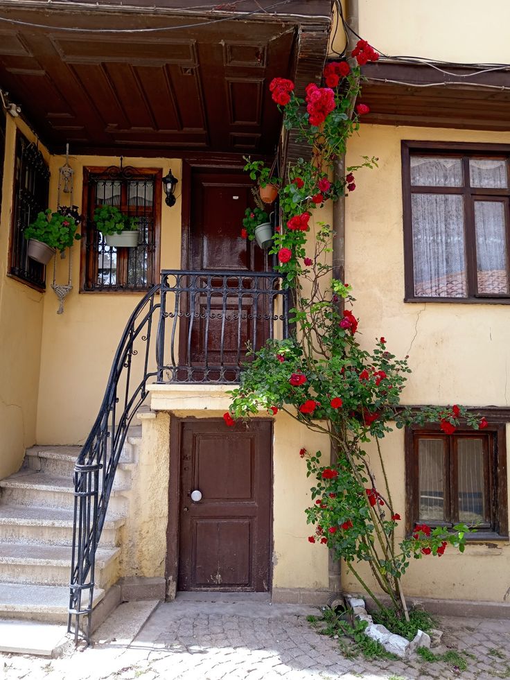 Стоян Димитров