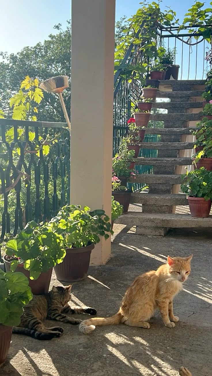 Мария Иванова