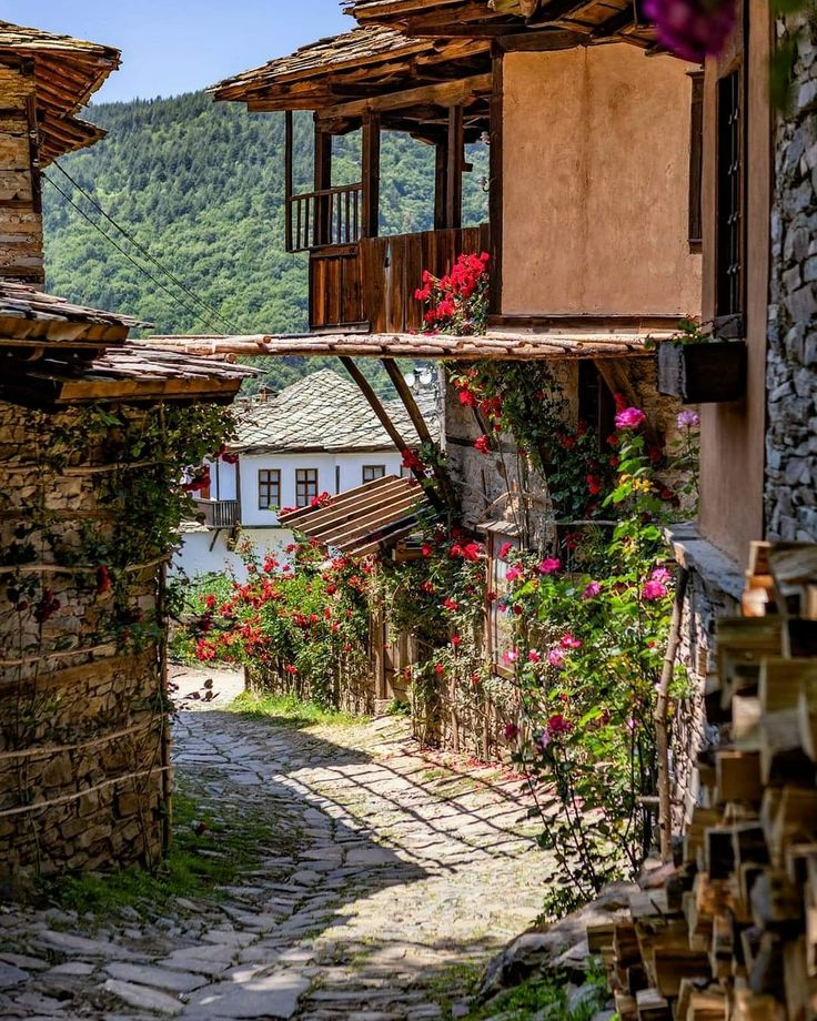 Мария Иванова