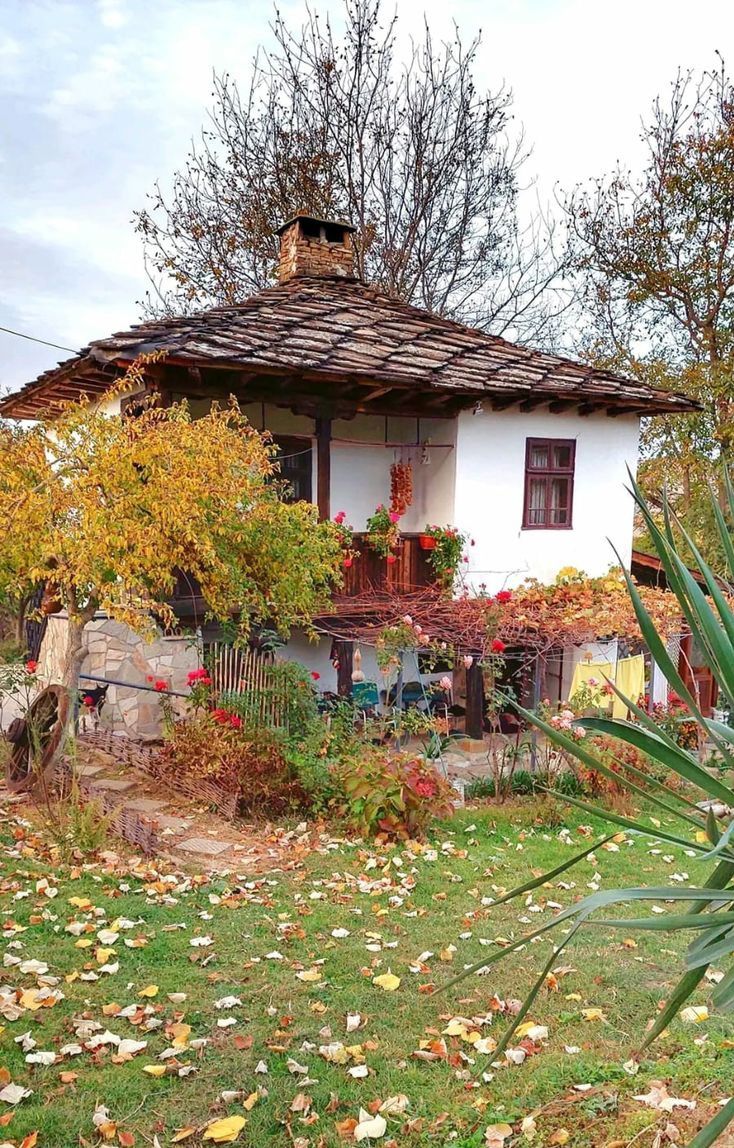 Георги Стоянов