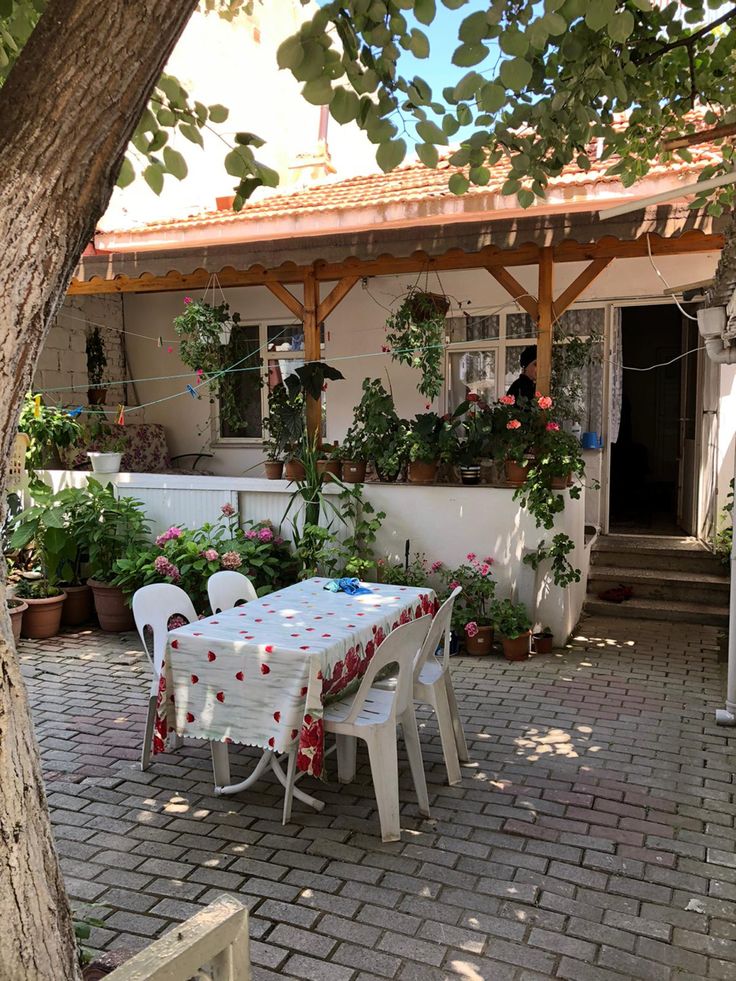 Иван Георгиев