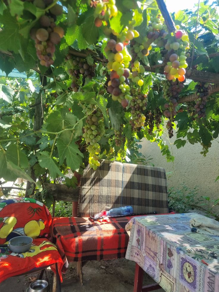 Анна Иванова