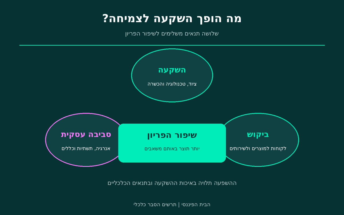 מי יעיר את אירופה? המבחן שמחכה ליורש של לגארד