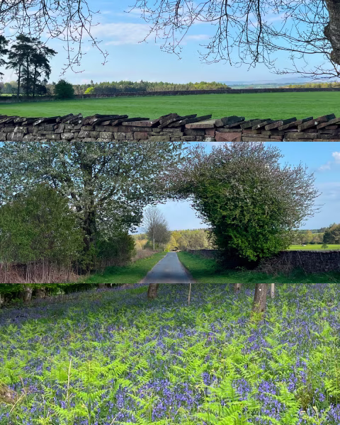 Edenhall Country Lane