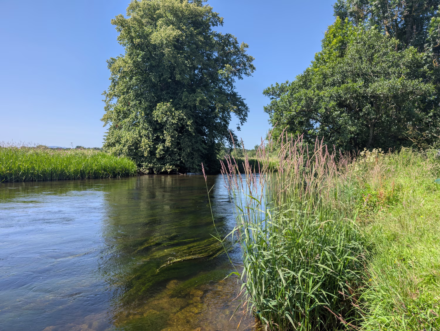 River Eamont - Slide 8