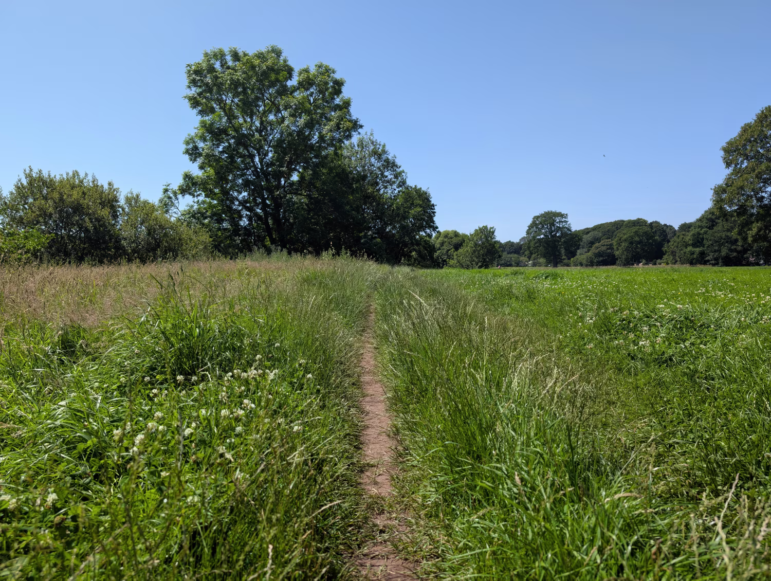 River Eamont - Slide 6