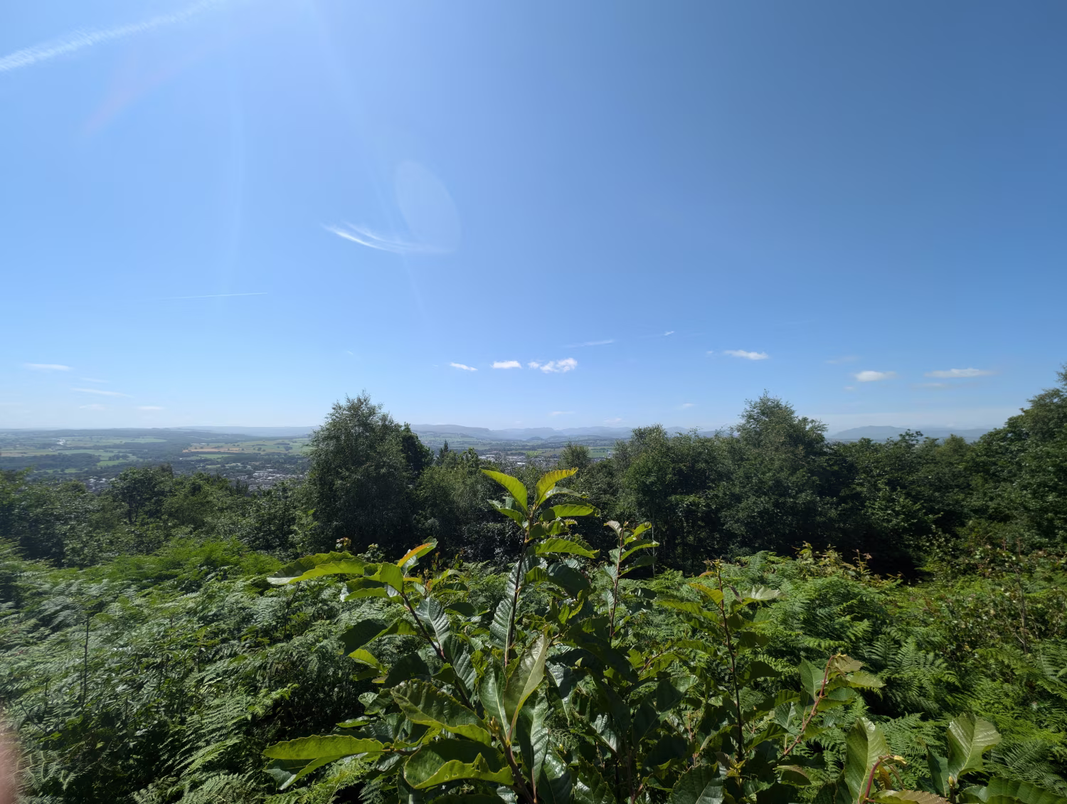 The Beacon - Slide 3