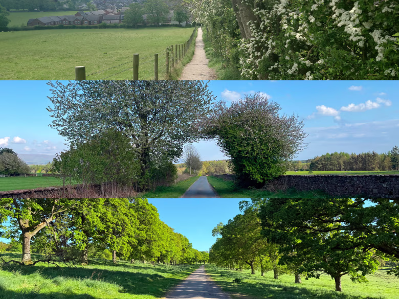 Swimming spot at Variety of Walks for Every Dog and Owner