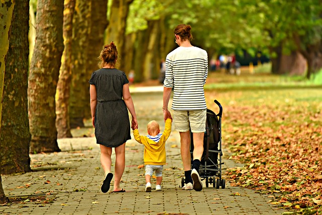 Parental Leave Benefits and Maternal Bonuses-img