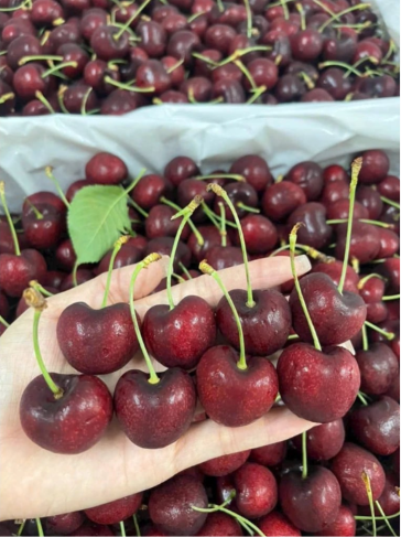 Cherry