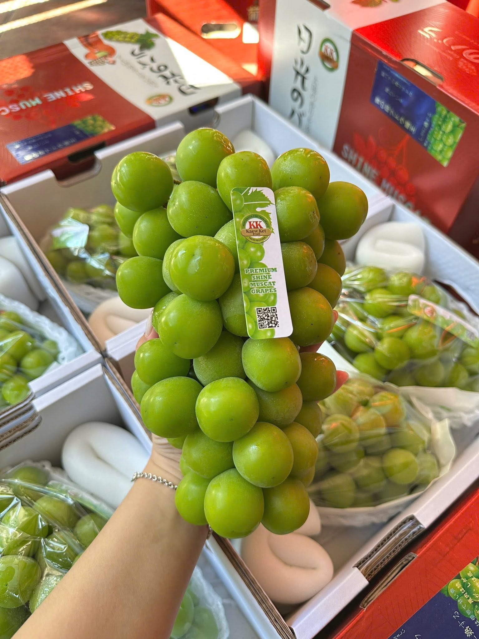 Nho Sữa Đài Loan
