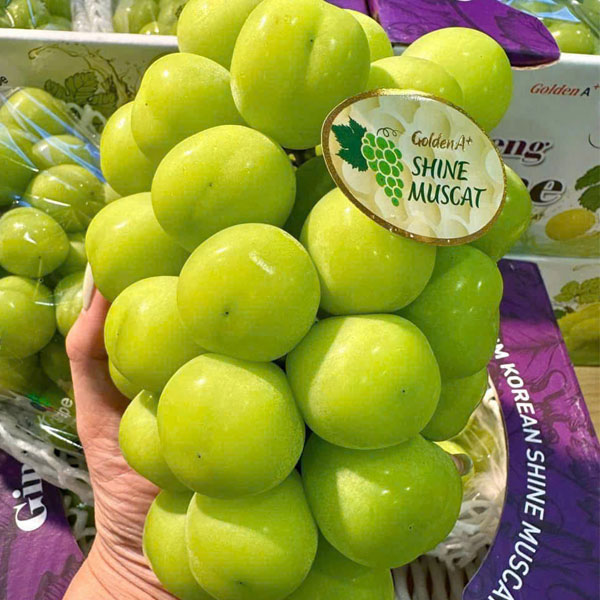 Nho Sữa Hàn Quốc