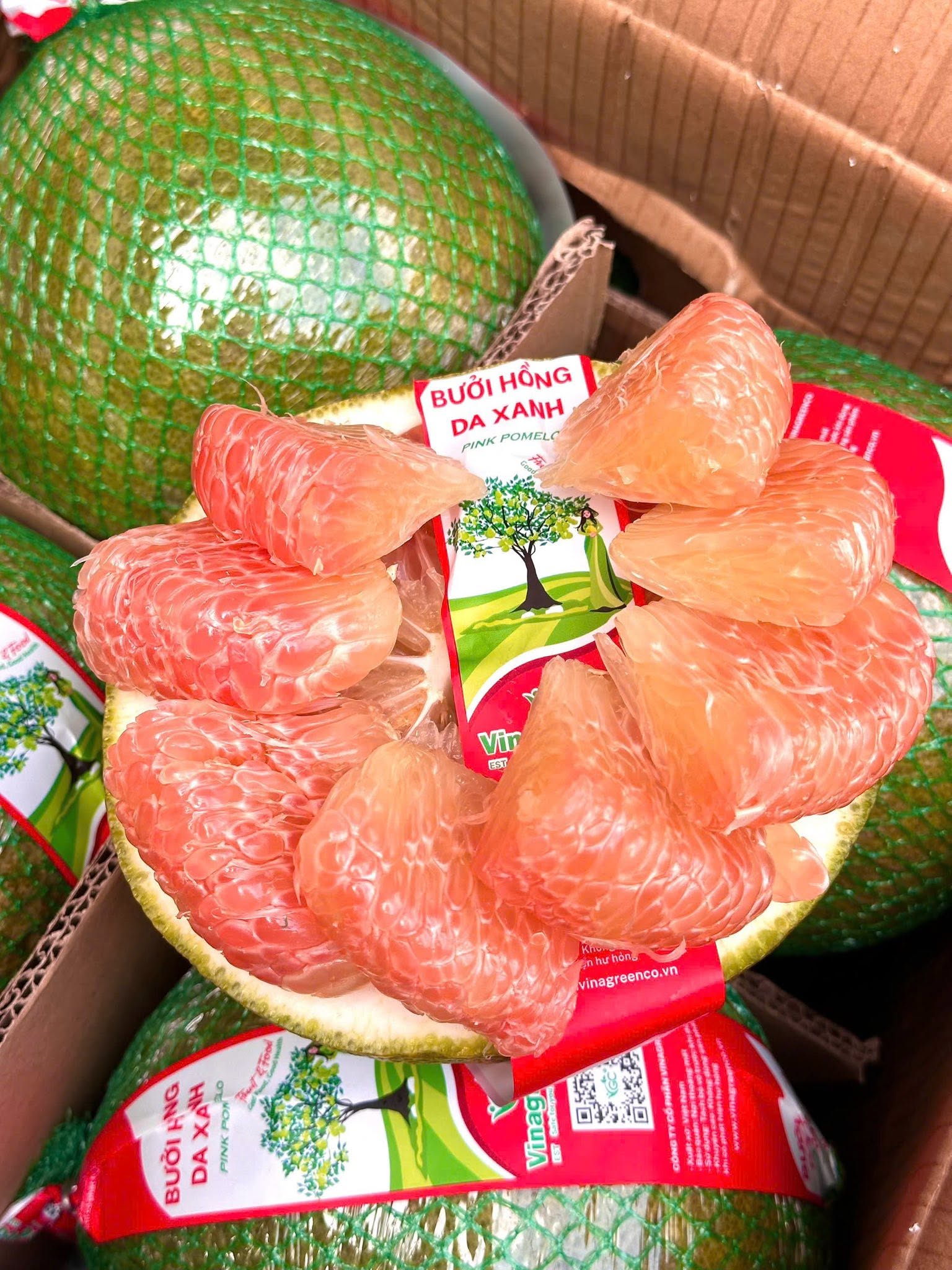 Bưởi Diễn