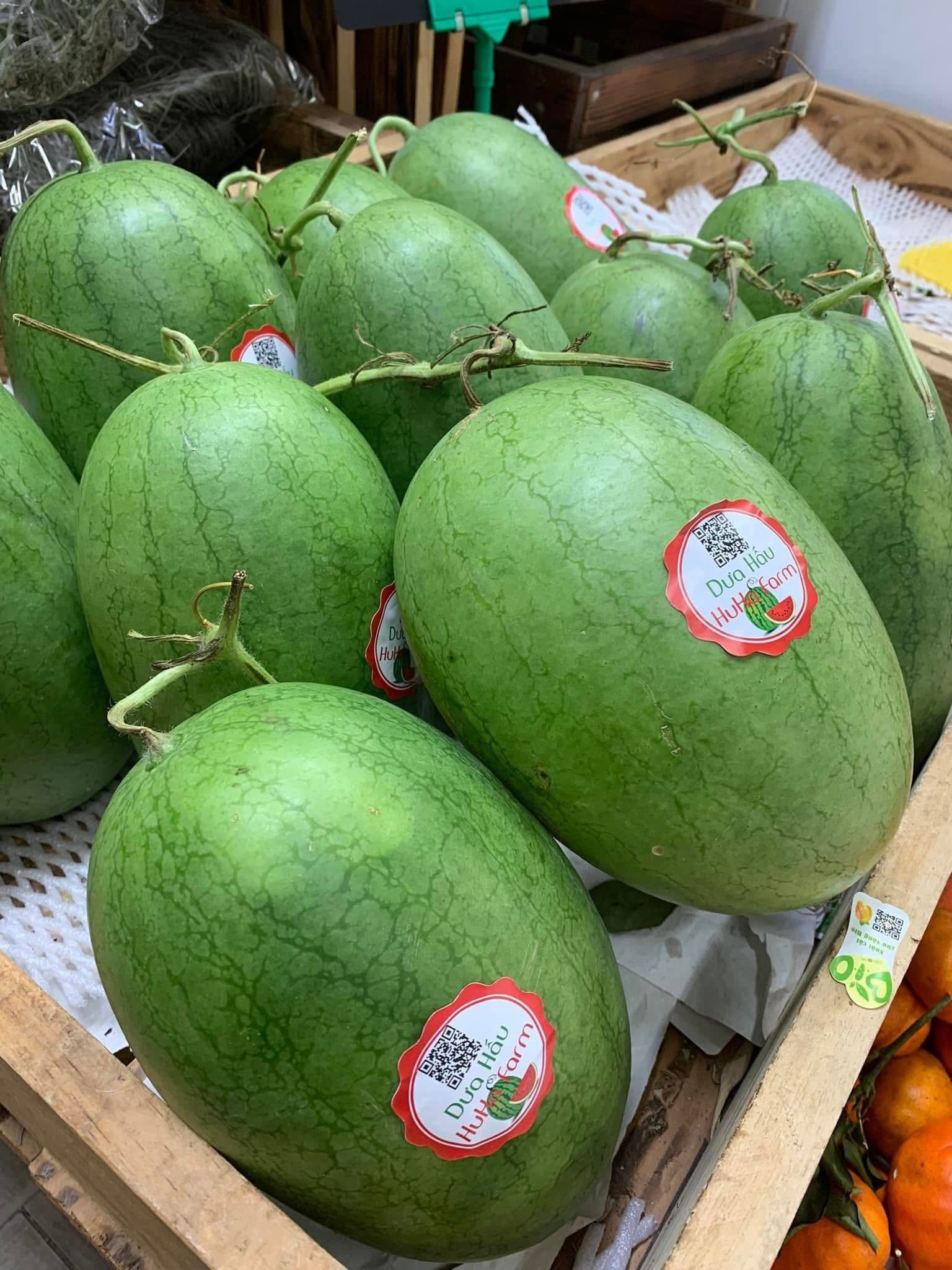 Dưa Đường