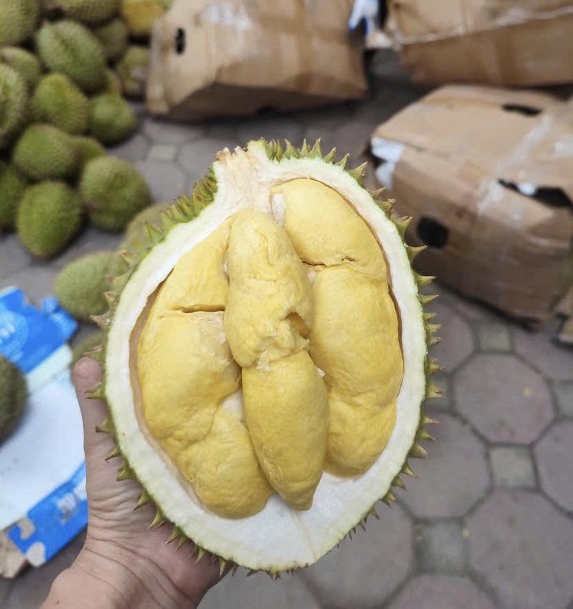 Sầu riêng 