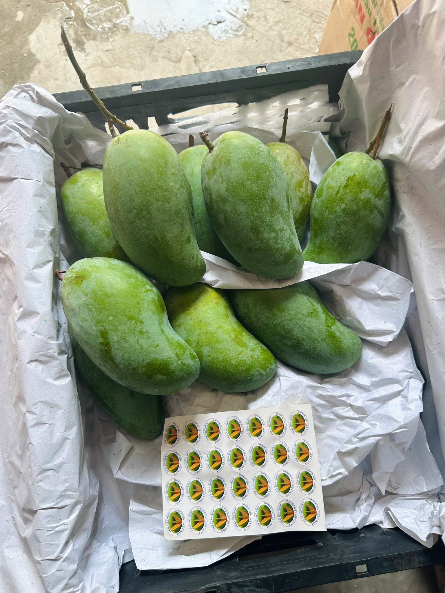 Xoài Hạt Lép 