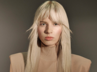68y588p3ddvbccn-balayage-masterclass.jpeg