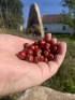 2lrim14pimype84-img-1673.jpeg