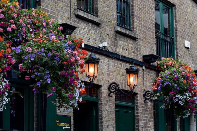 The Best Pubs in Battersea