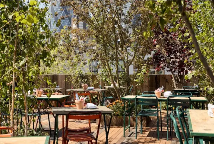 listing-featured-image