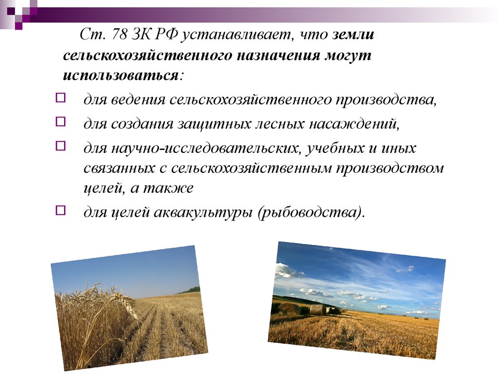 Земли сельскохозяйственного назначения земли схн. Назначение сх. Субъекты земель сельскохозяйственного назначения. Земли сельскохозяйственного назначения. Назначение сх.