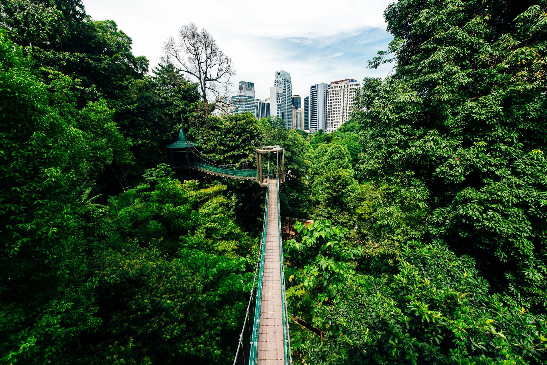 KL Forest Eco Park ойн цогцолбор