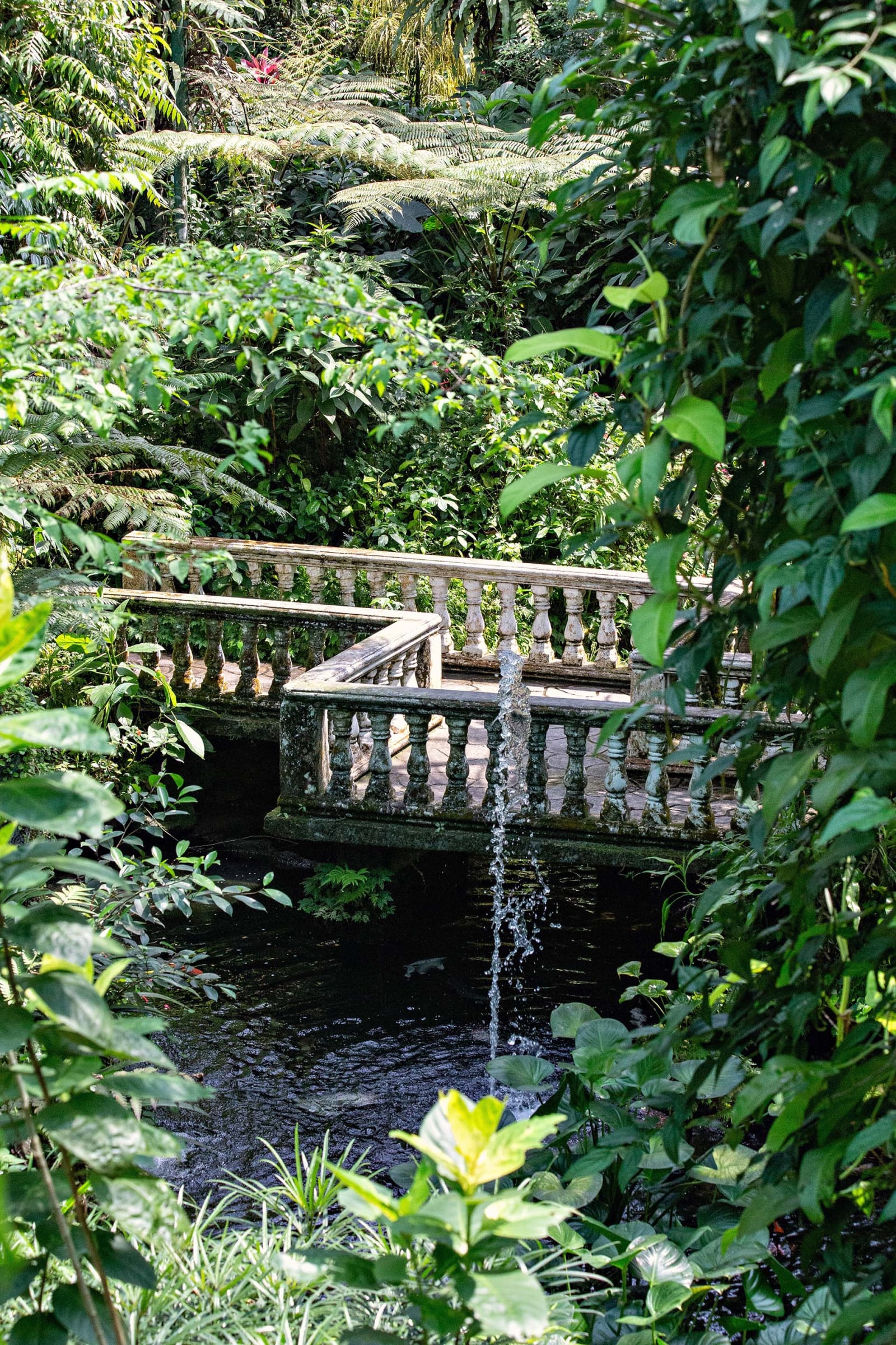 KL Butterfly Park эрвээхэйн цэцэрлэг