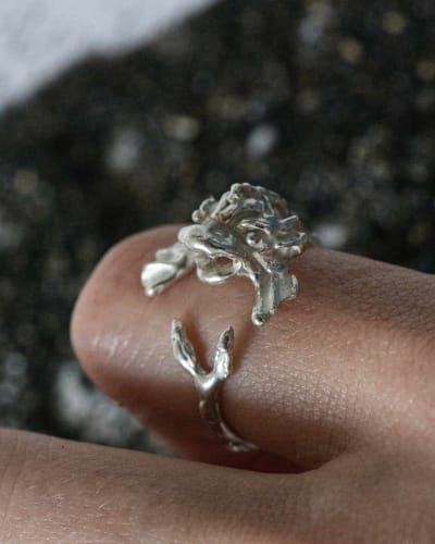 Pez Fontana R view 1