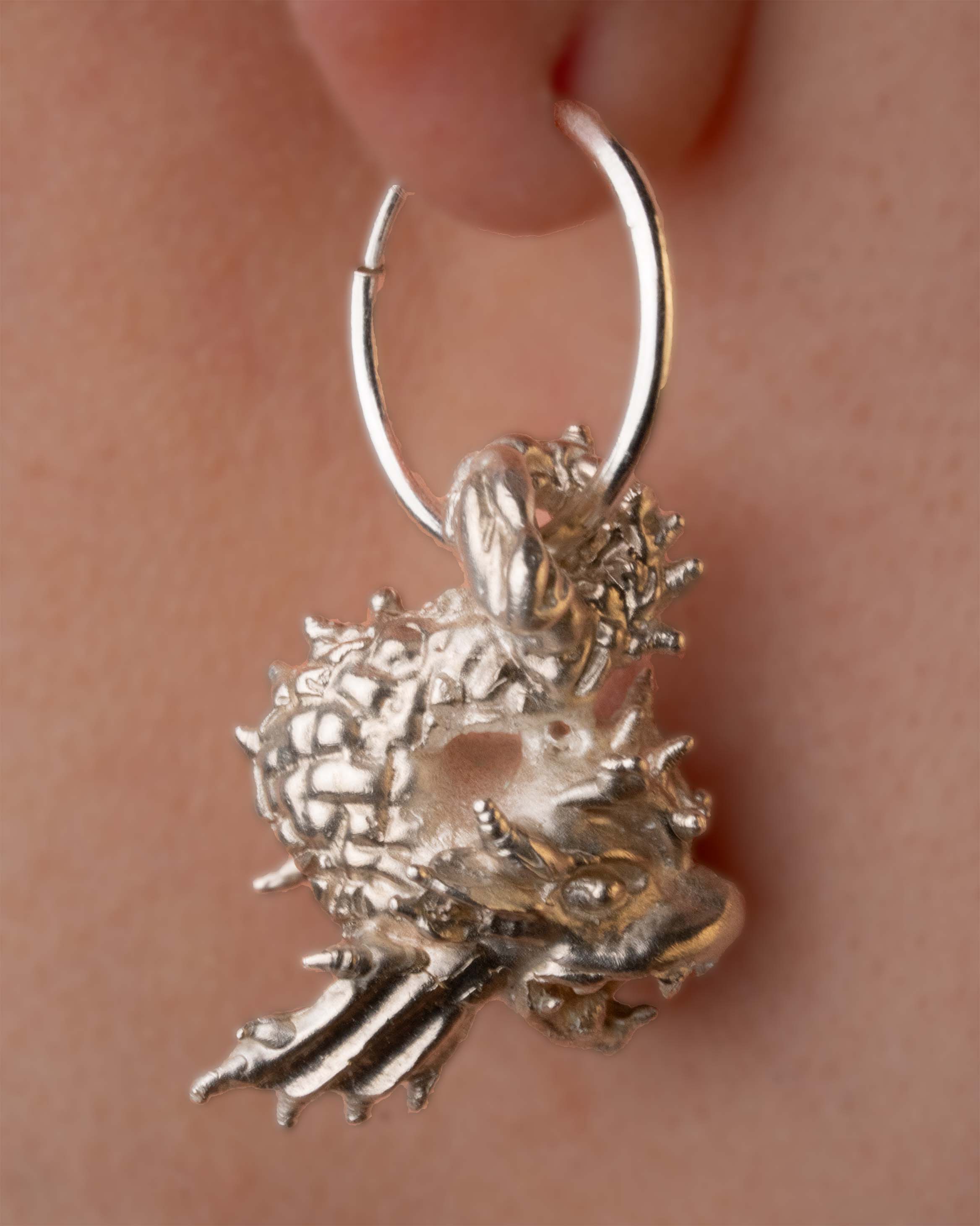 Earrings and Hoops 3