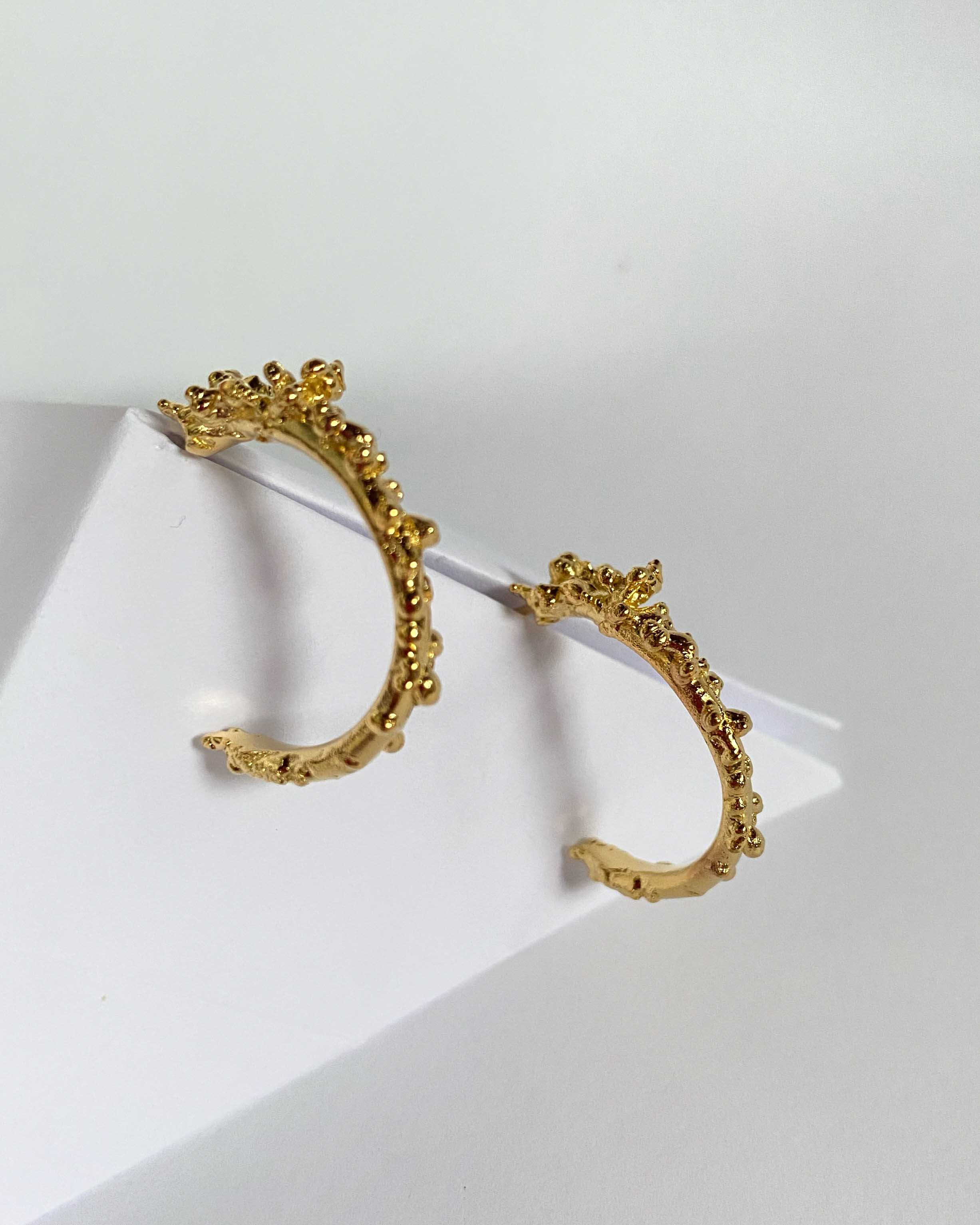 Earrings and Hoops 2