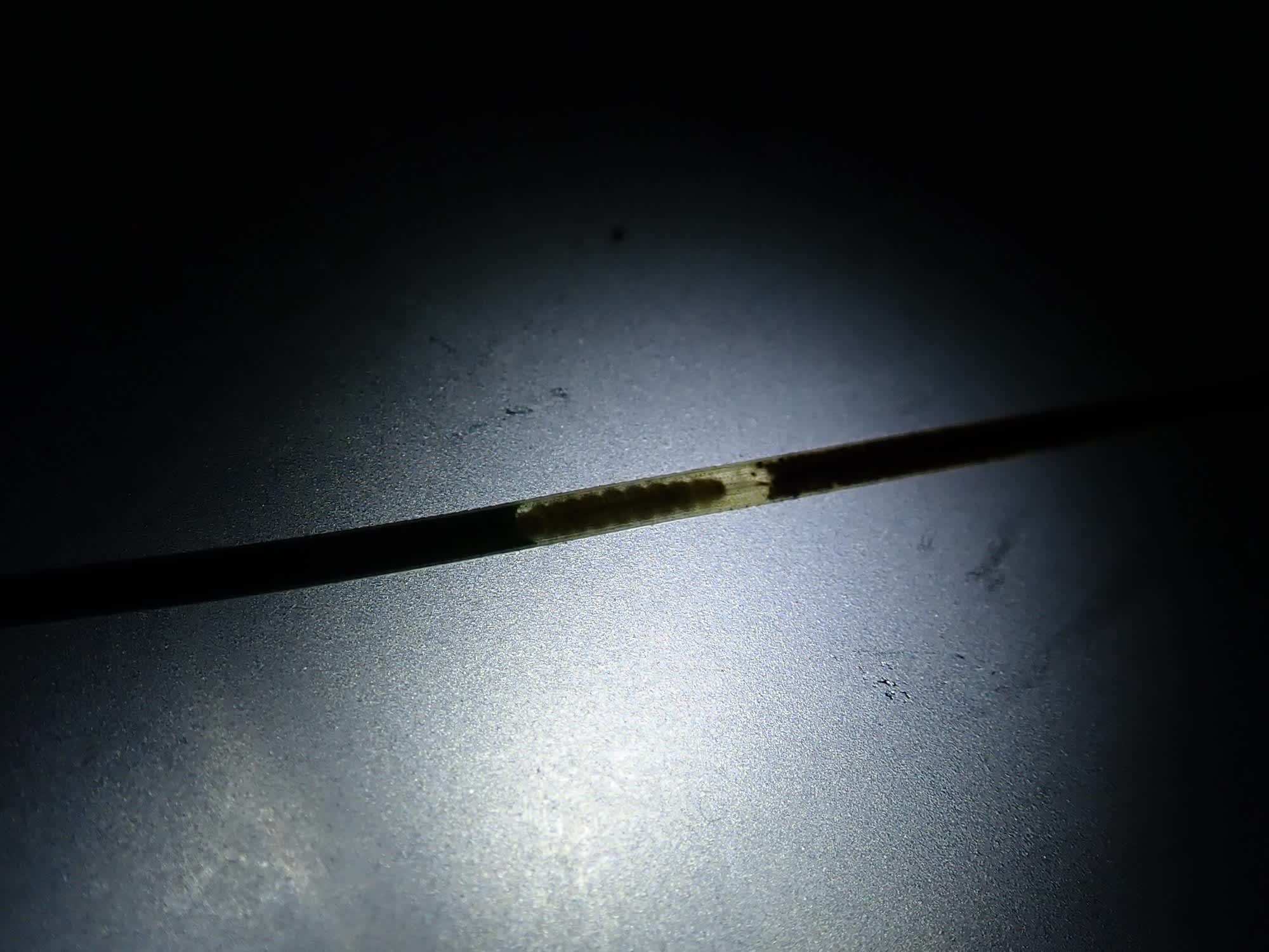 Brown Pine Ermine (Cedestis subfasciella) photographed in Somerset by Christopher Iles