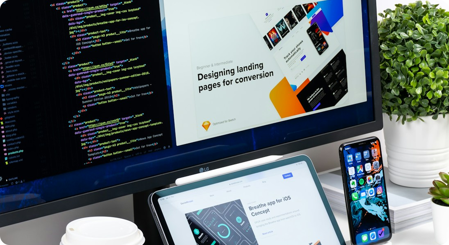 Software Development