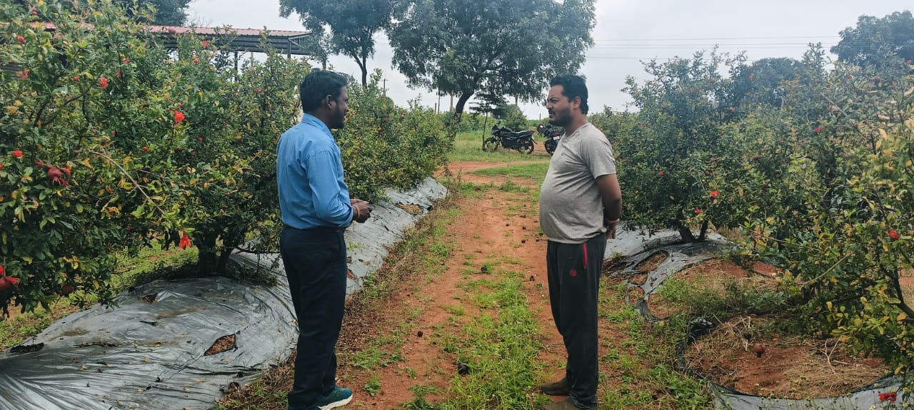 ರಾಗಿ ಕಾಕುಡ್ ಅಗ್ರಿಯ SMASHIT ಕೀಟನಾಶಕ ಬಳಸಿದ ರೈತರ ಅಭಿಪ್ರಾಯ