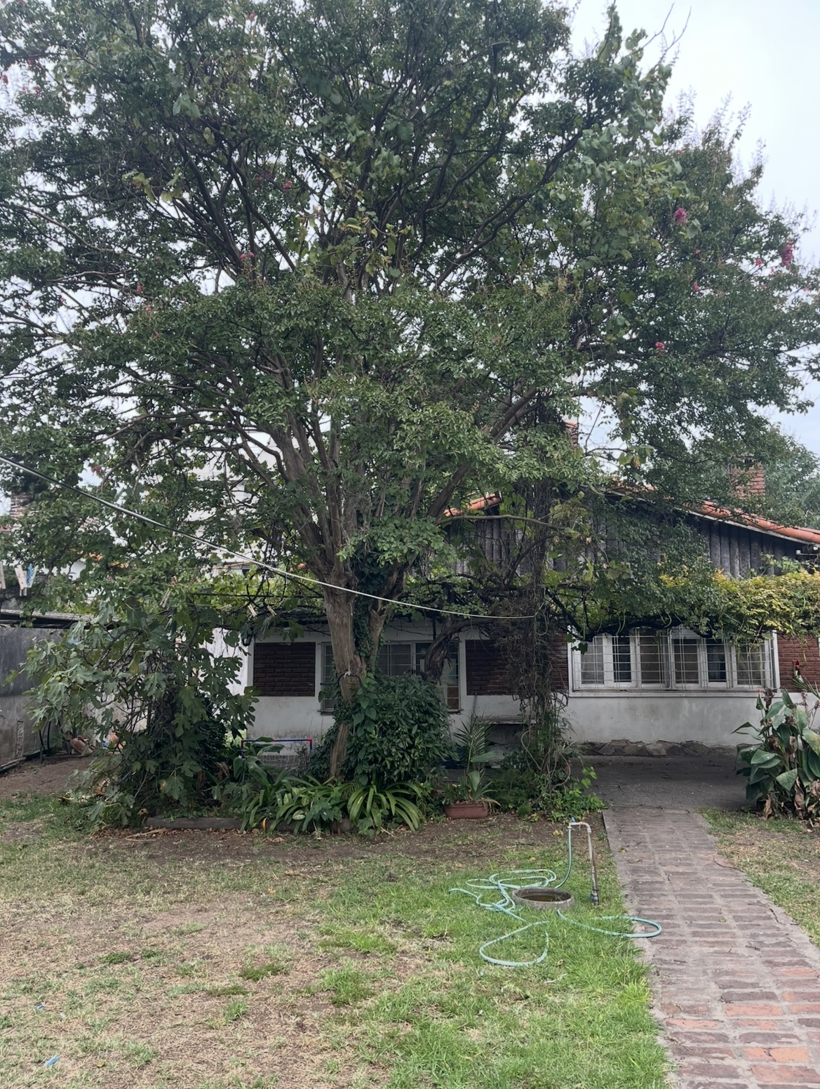 Casa en Ituzaingo sur- ideal emprendimiento  - imagen 5