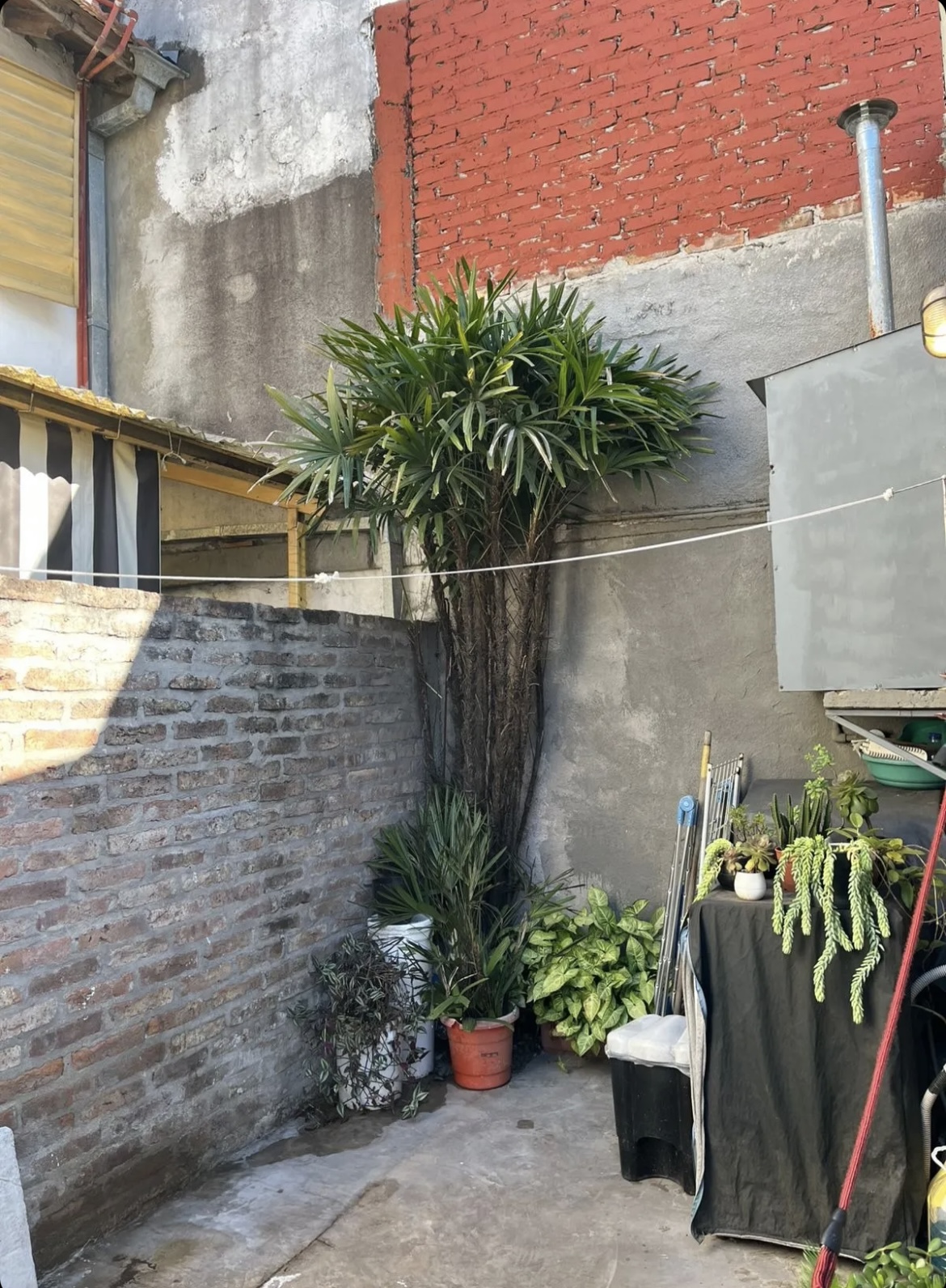 Departamento monoambiente Ituzaingo Norte - imagen 9