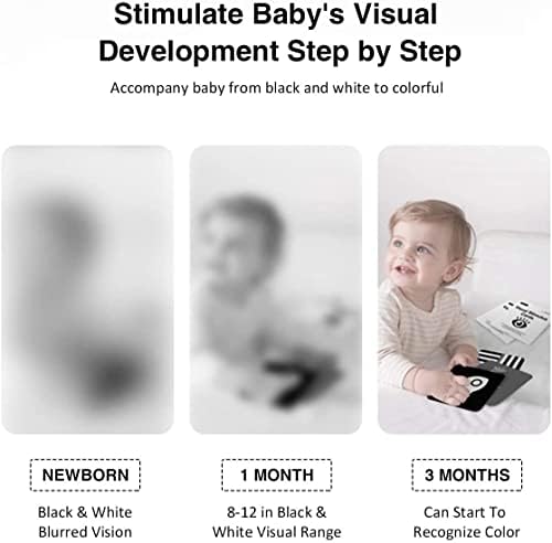 Vue 2 de Beiens Bebe Cartes Flash
