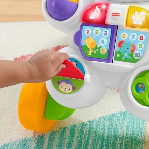 Vue 4 de Fisherprice Mon Trotteur Zebre